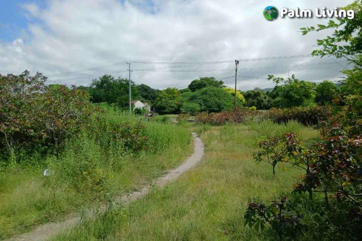 Two Vast Beachfront Plots for Sale in Londolima