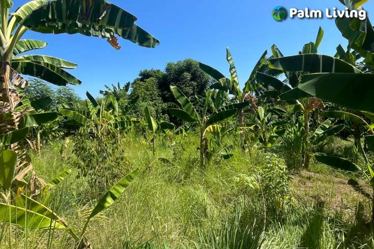 Land Plot in Kayuputih for Sale