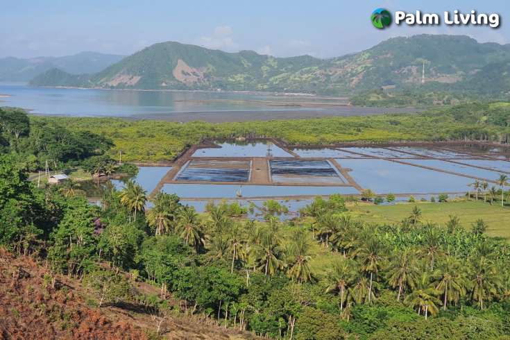 Beautiful Land in South Lombok for Sale