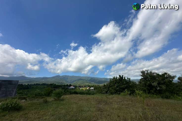 Land for Sale with Stunning Views in Panji
