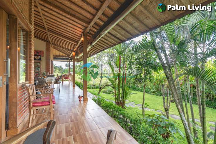 Guesthouse for Sale in Rice Fields