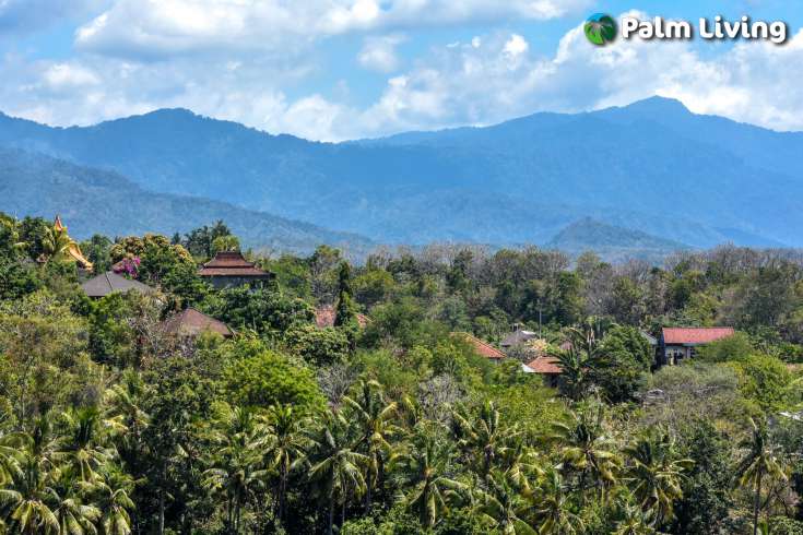 Hillside Land  in Dencarik North Bali