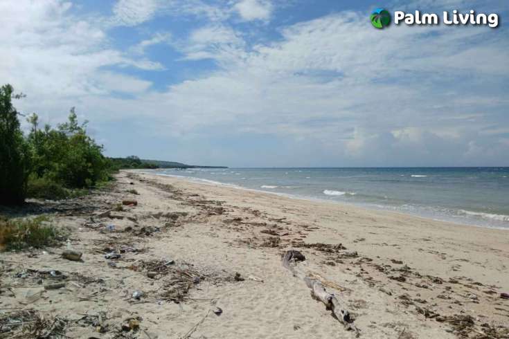 Two Vast Beachfront Plots for Sale in Londolima