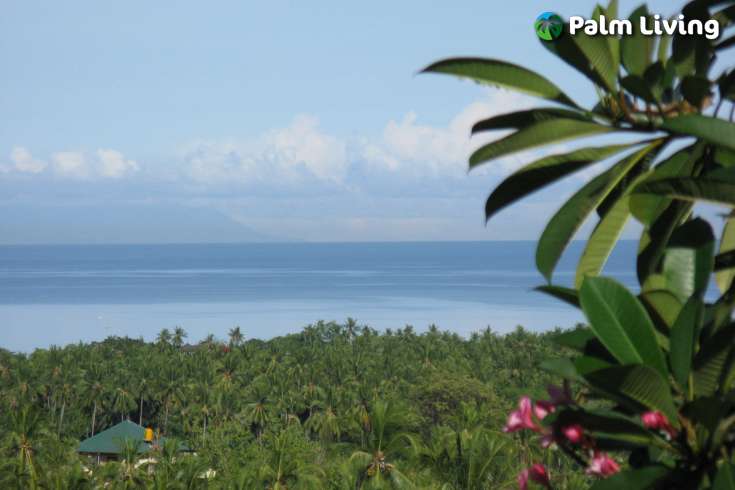 Five Bedroom Hillside Villa  for Sale