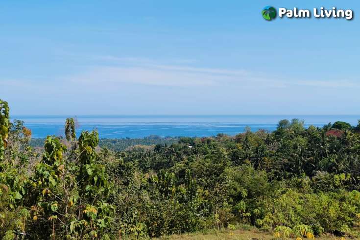 Hillside Land close to Central Lovina