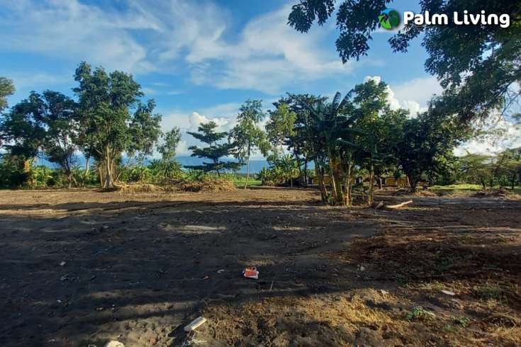 Beachfront Land for Sale in Singaraja