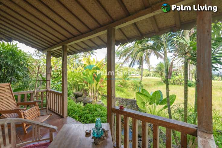 Guesthouse for Sale in Rice Fields
