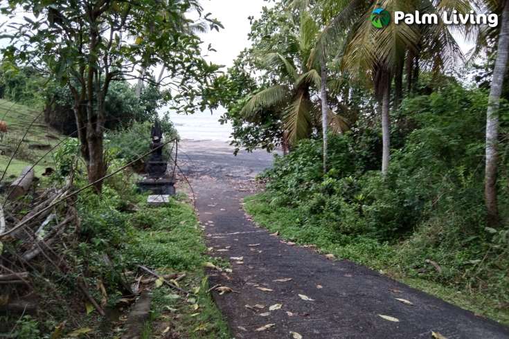 Land for Sale in Tabanan