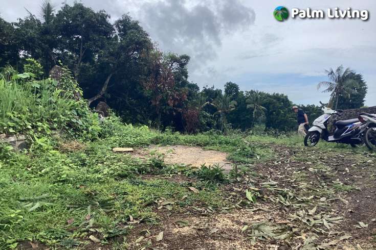 Panoramic Land for Sale in Kayuputih