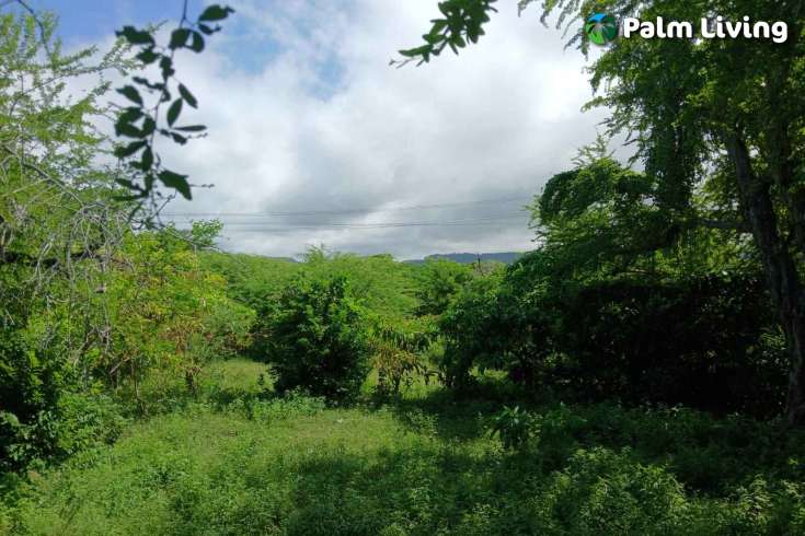 Two Vast Beachfront Plots for Sale in Londolima