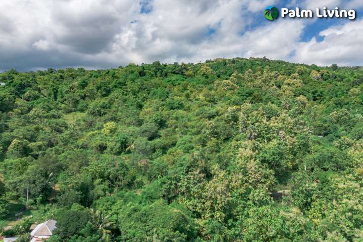 Elevated Big Plot in Kaliasem for Sale