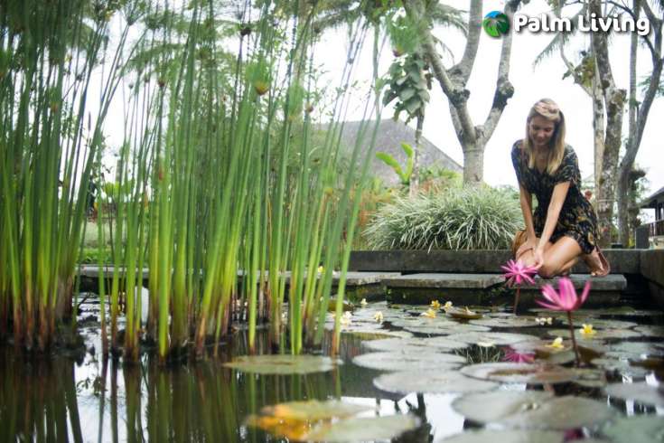 Ubud Mountain Resort for Sale