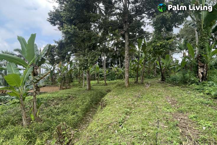Tegallalang Land for Sale with Good View