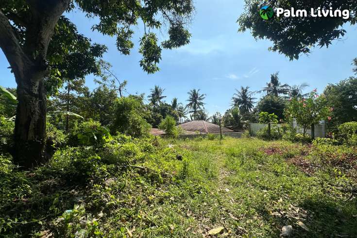Hillside Plot in Kayuputih for Sale