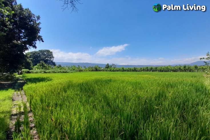 Bali Beachfront Land for sale