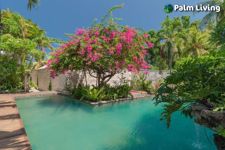 Absolute Beachfront Villa - Center Lovina