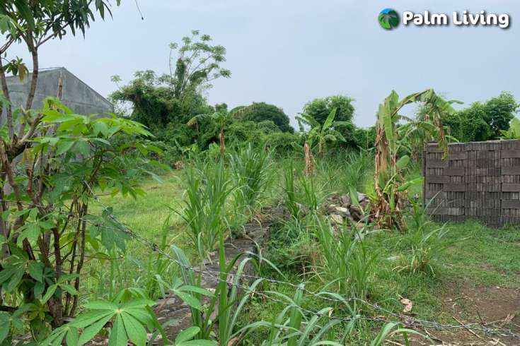 Ready to Build: A Plot Close to Lovina