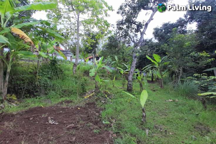 Land For Sale in Kayuputih