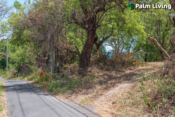 7700m2 plot in tranquil Umeanyar