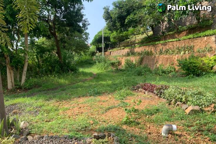 Land plot with Small Two Storey House