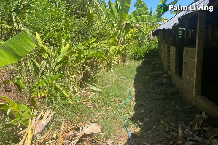 Land Plot in Kayuputih for Sale