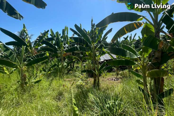 Land Plot in Kayuputih for Sale