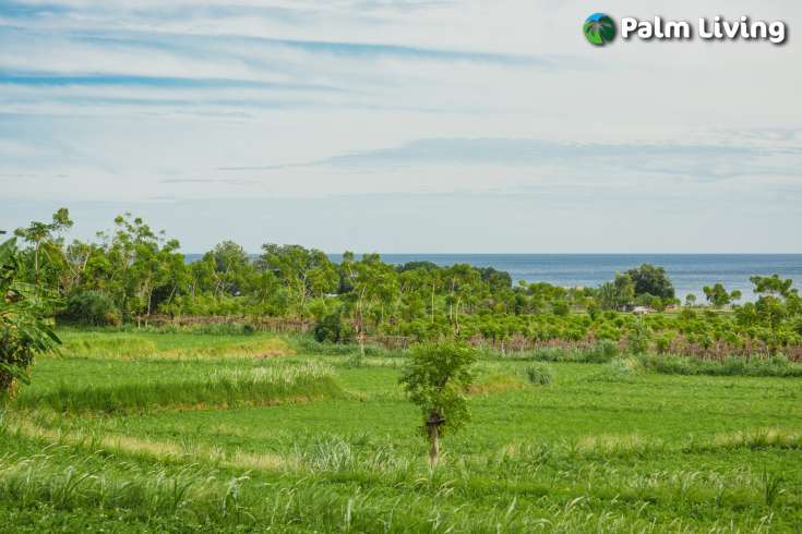 Land with Panoramic Views in Umeanyar