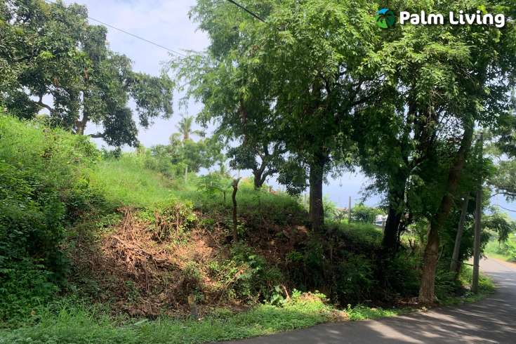 Exceptional Hillside Land Cempaga