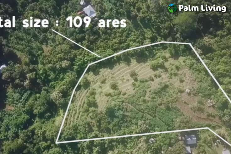 Hillside Land close to Central Lovina