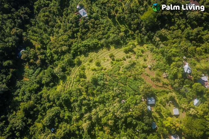 Hillside Land close to Central Lovina