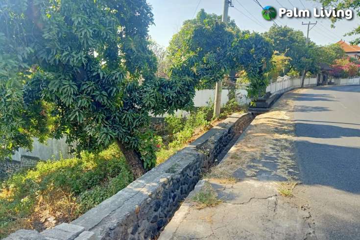 Land for Sale with Rice Field View
