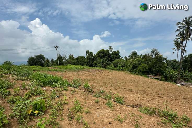 Freehold land for sale in Central Lovina
