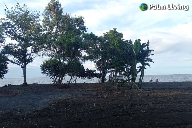 Beachfront Land for Sale in Singaraja