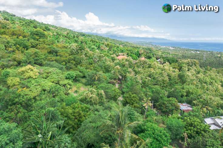 Elevated Big Plot in Kaliasem for Sale