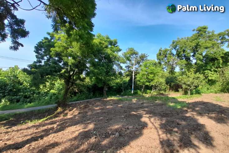 Panoramic Land for sale in Umeanyar