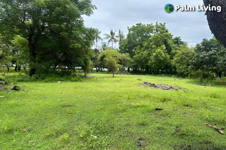 Prime Land for Sale - Development