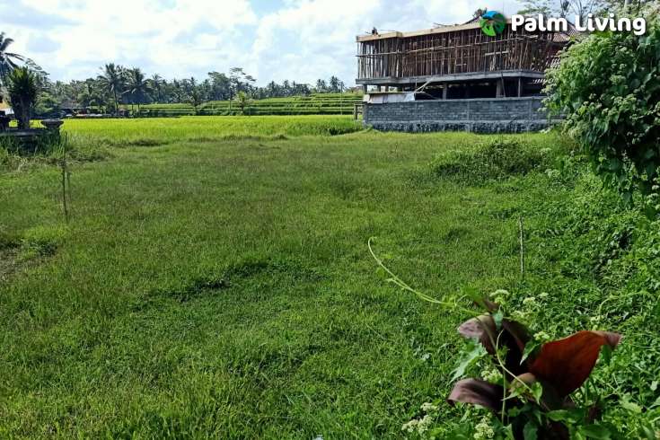 Land plot for sale in Ubud