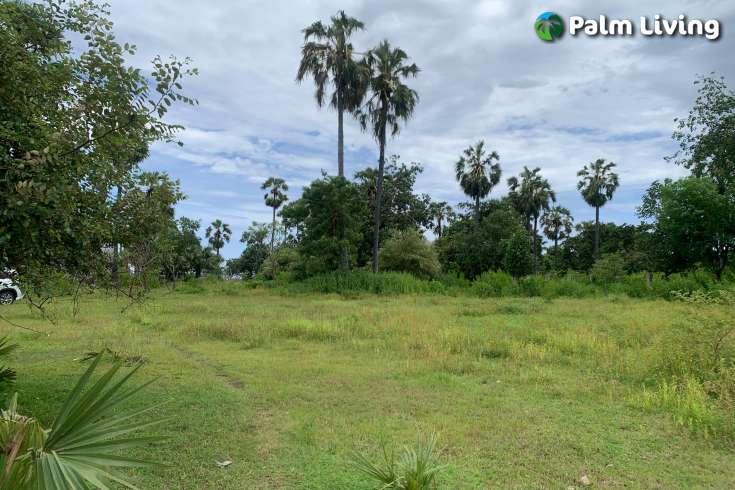 Land in Pemuteran for Leasehold