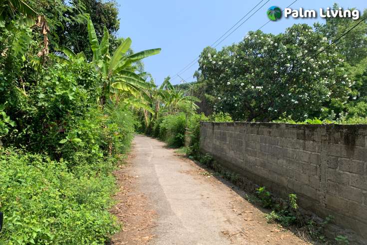 A Plot Land for Sale in Labuhan Aji
