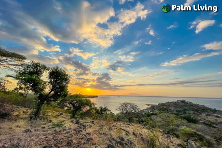 Stunning Seaview land for sale in Pemuteran