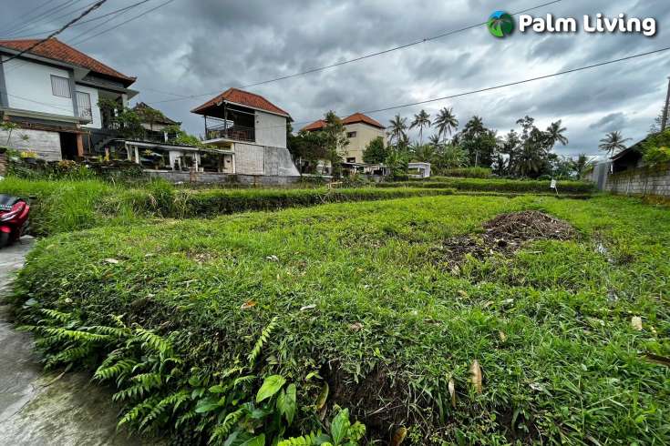 Leasehold Land in Ubud for Sale
