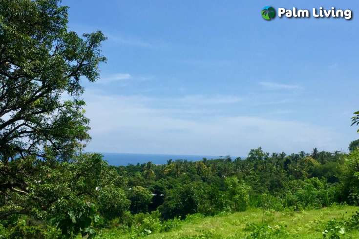 Hillside Land close to Central Lovina