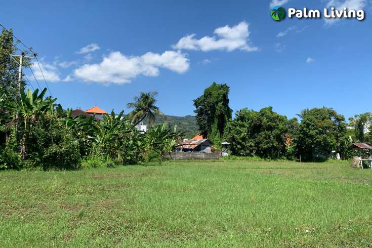 Centrally Located Land in Lovina for Sale