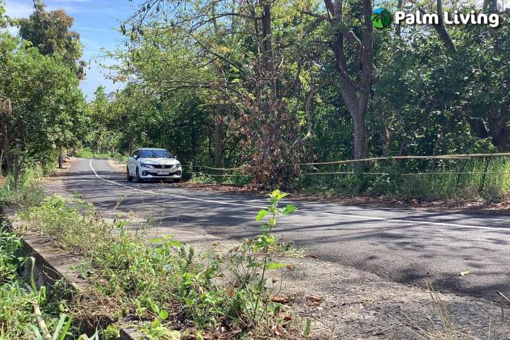 Spacious Ocean View Land for Sale