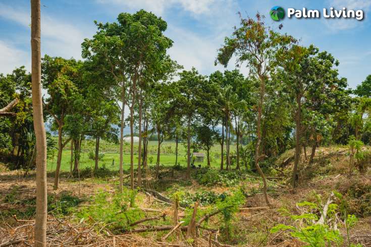 Land with Panoramic Views in Umeanyar