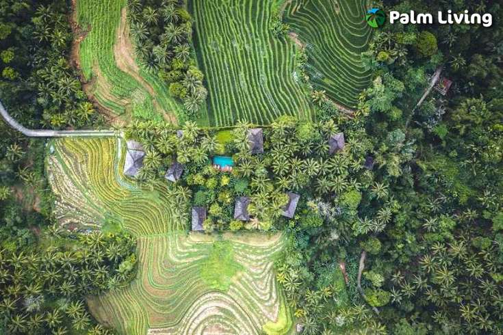 Tabanan mountain resort for sale