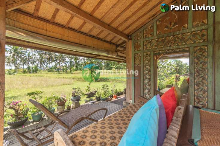 Guesthouse for Sale in Rice Fields