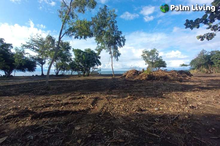Beachfront Land for Sale in Singaraja