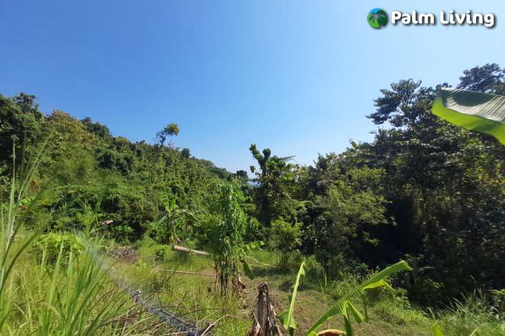 5490m2 of Land for Sale in Kayuputih