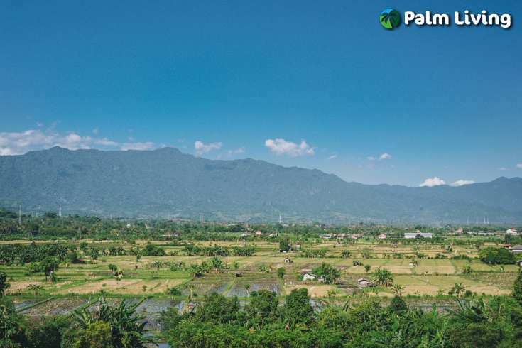 Hillside Land For Sale Bali